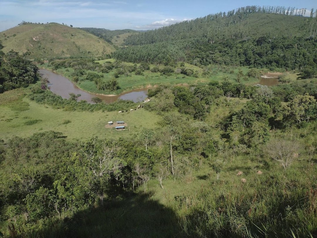 Fazenda, 225 hectares - Foto 17