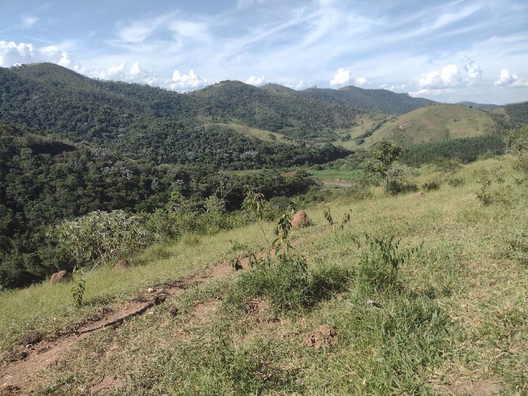 Fazenda, 225 hectares - Foto 11