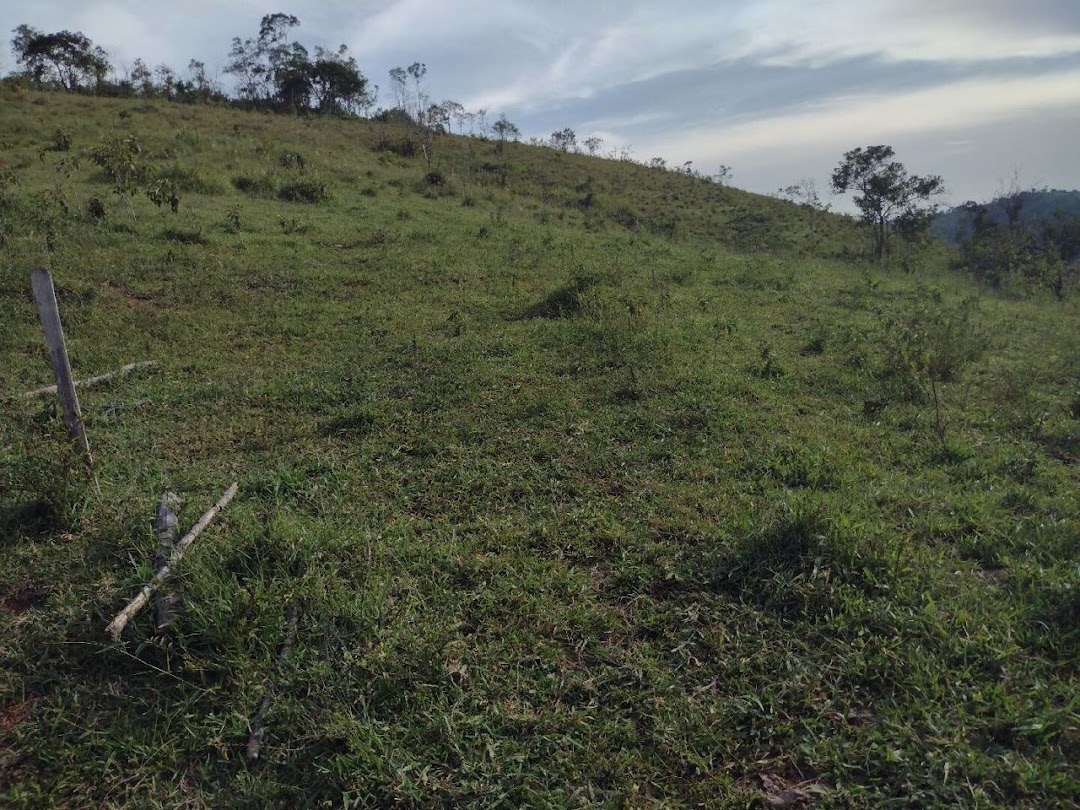 Fazenda, 225 hectares - Foto 20