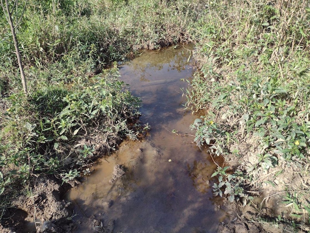 Fazenda, 225 hectares - Foto 16