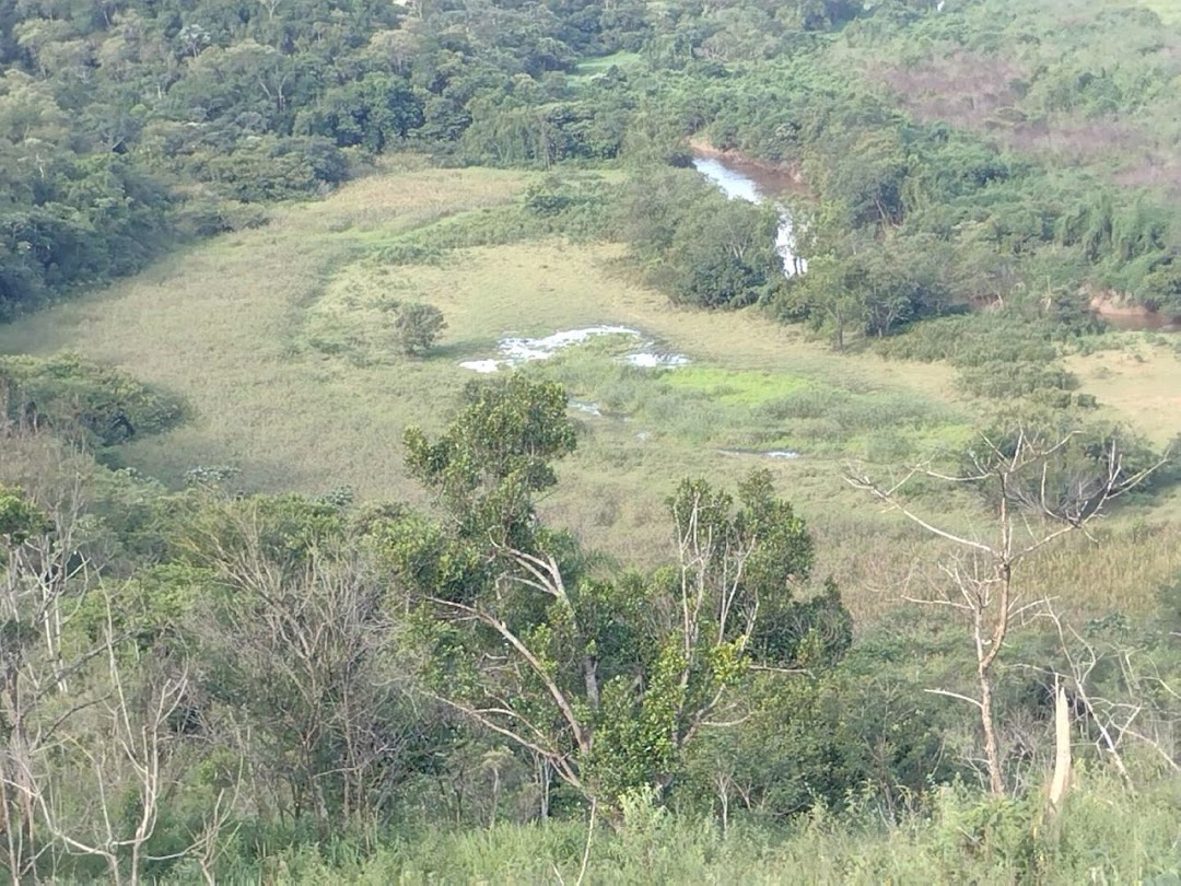 Fazenda, 225 hectares - Foto 13