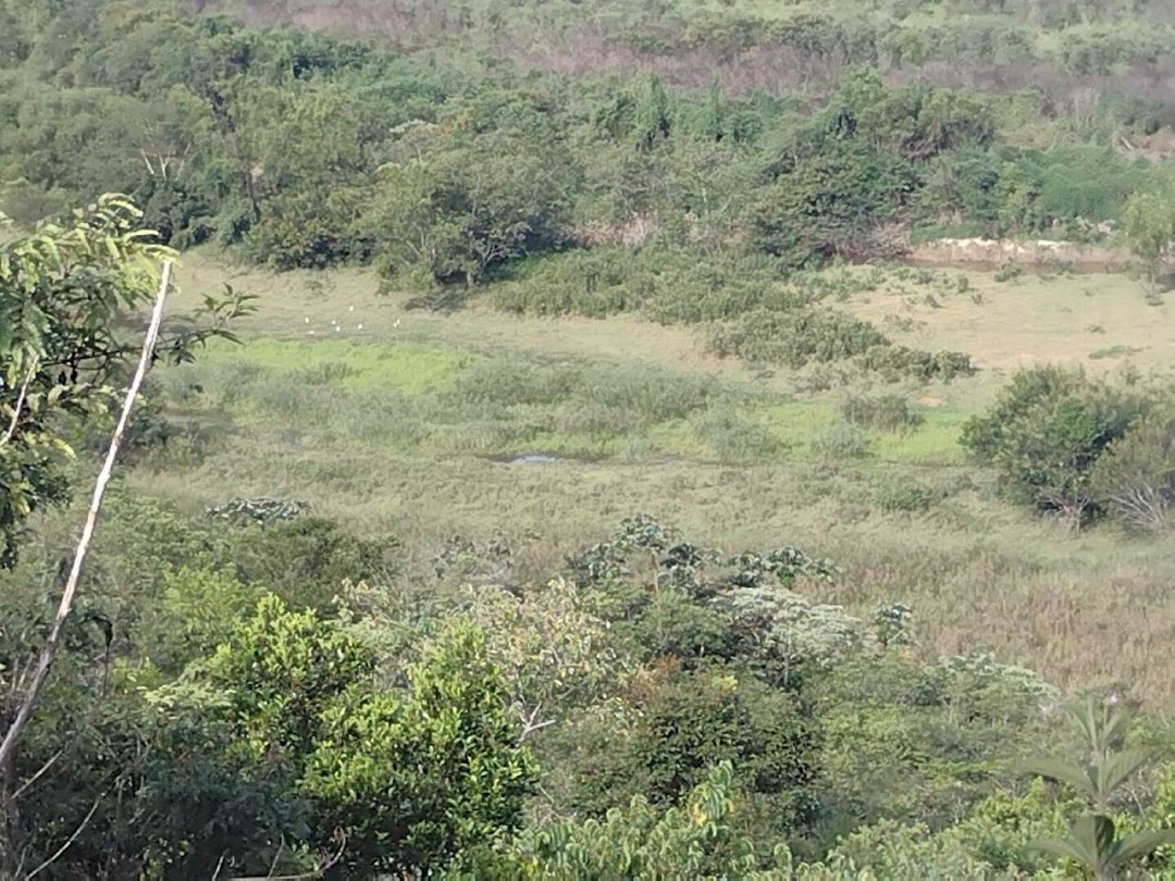 Fazenda, 225 hectares - Foto 24