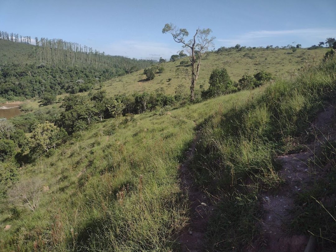 Fazenda, 225 hectares - Foto 12