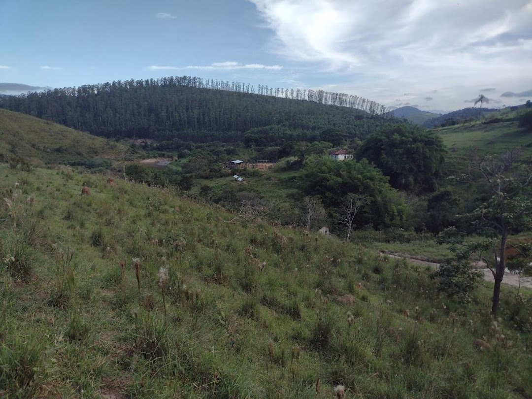 Fazenda, 225 hectares - Foto 6