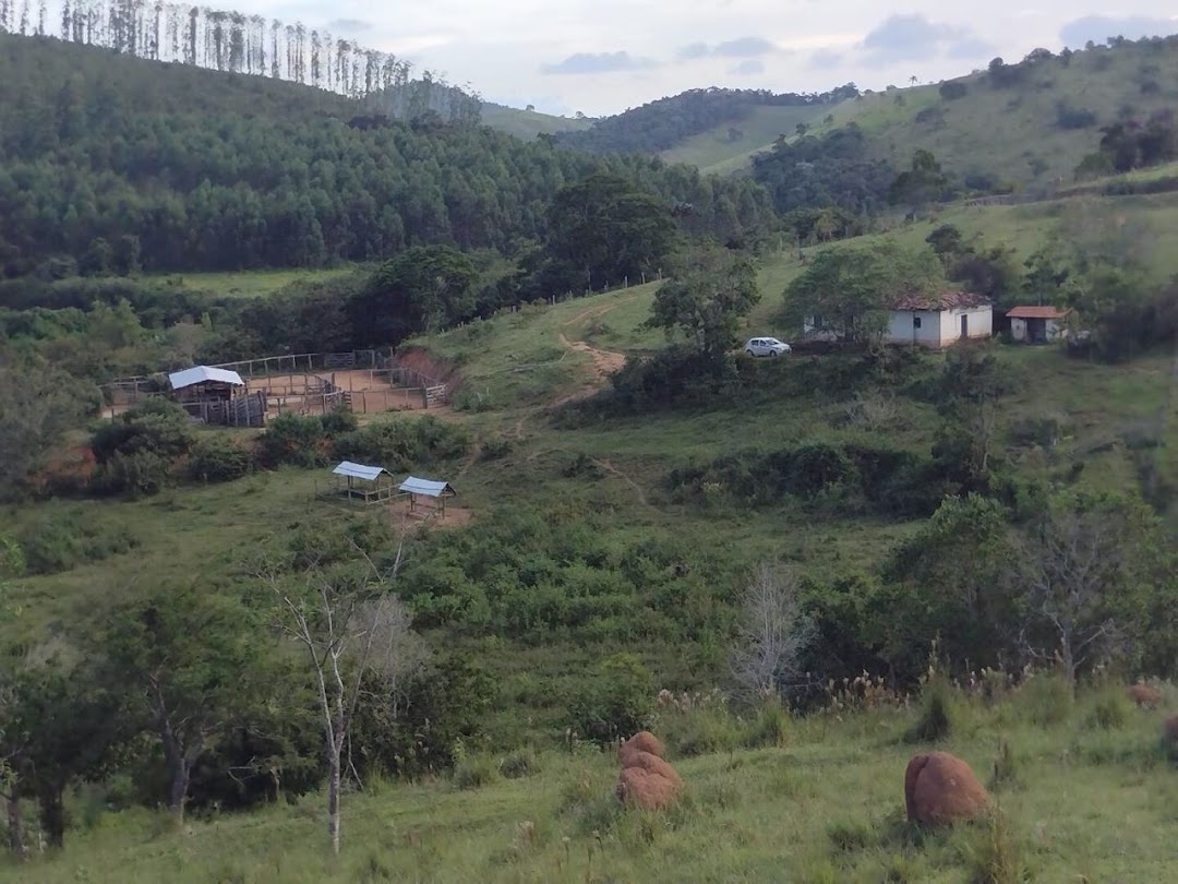 Fazenda, 225 hectares - Foto 18