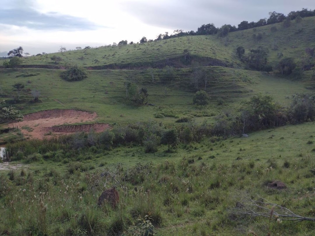 Fazenda, 225 hectares - Foto 21