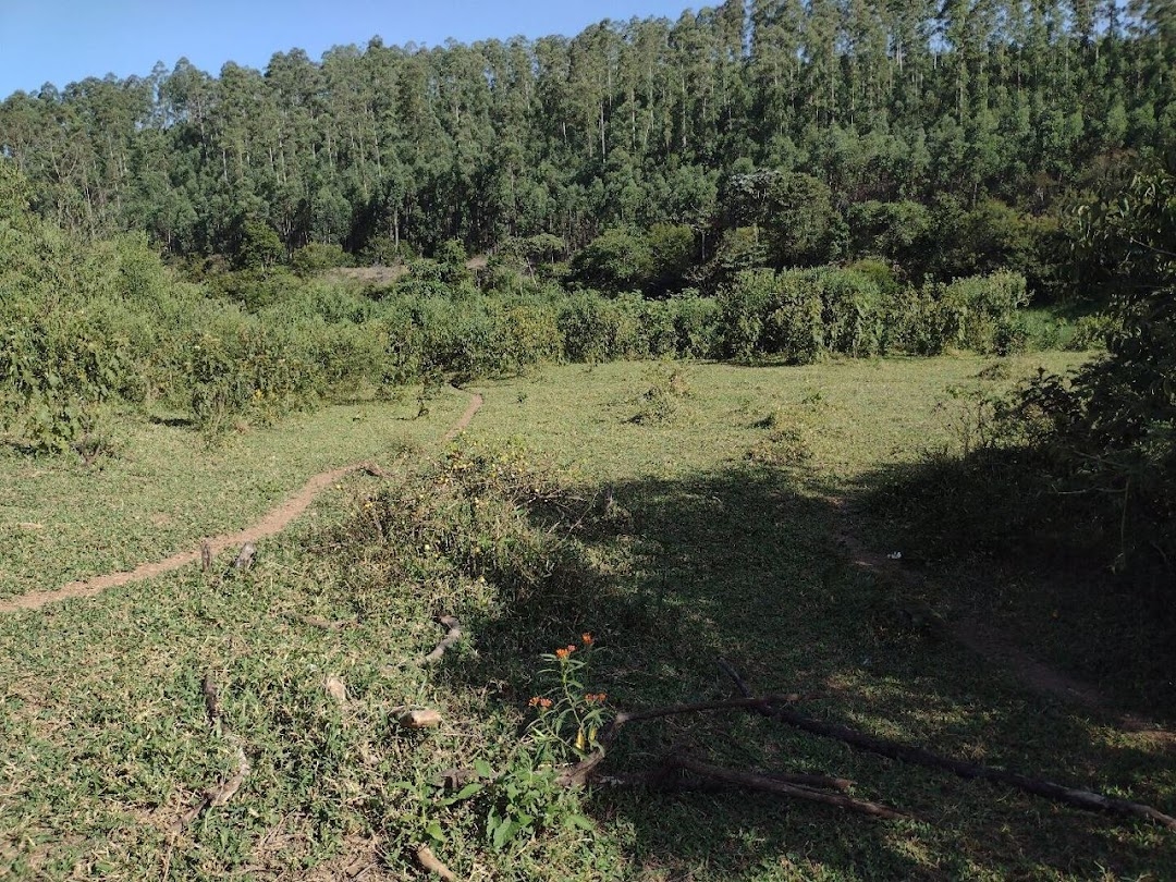 Fazenda, 225 hectares - Foto 25