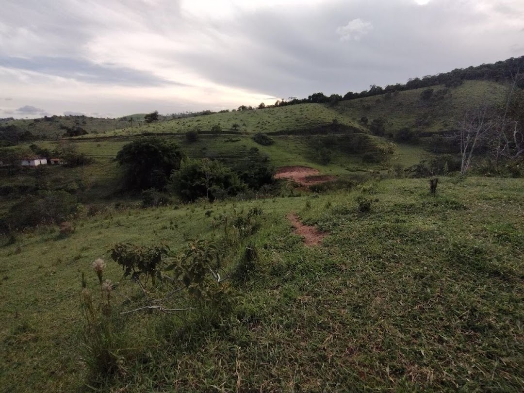 Fazenda, 225 hectares - Foto 28