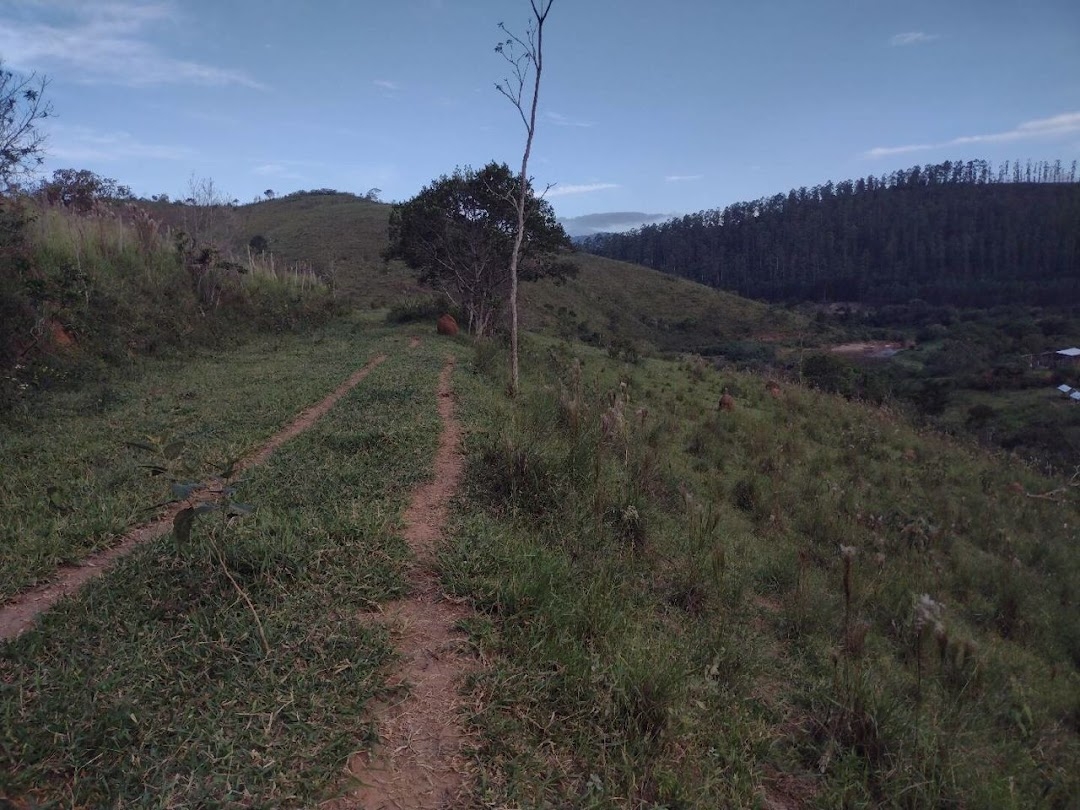 Fazenda, 225 hectares - Foto 27