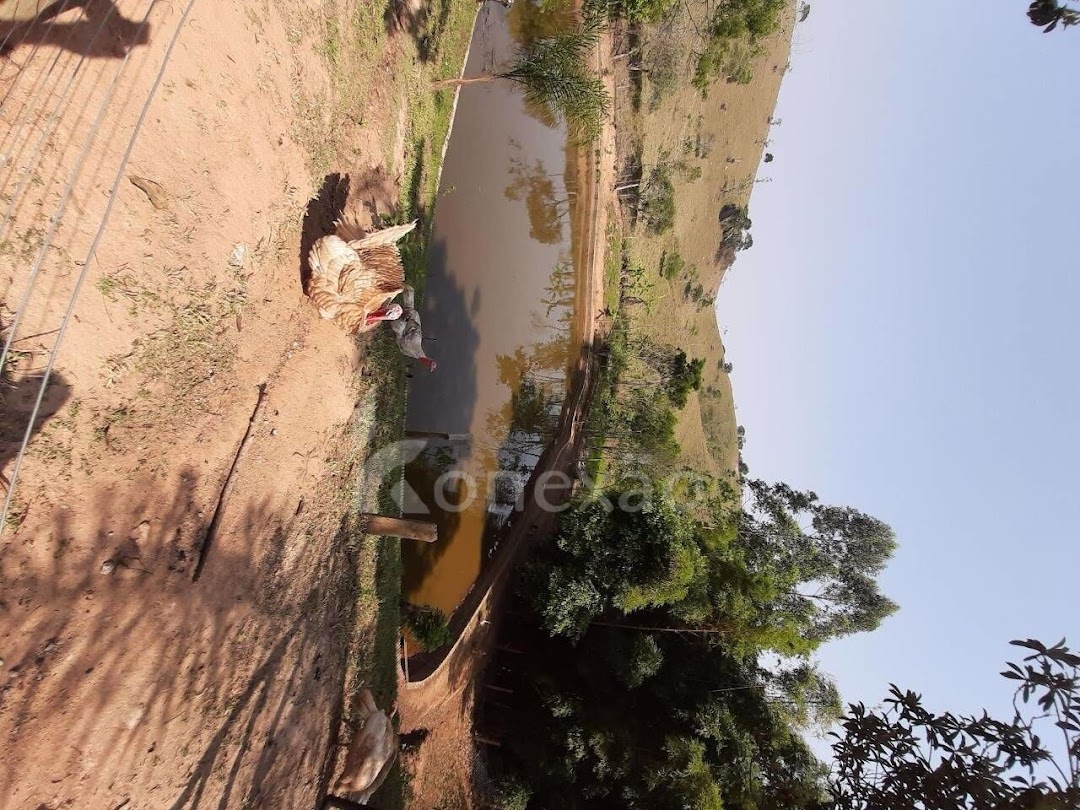 Sítio em Paraibuna/São Paulo — Ref RQFJOL — Imagem 13