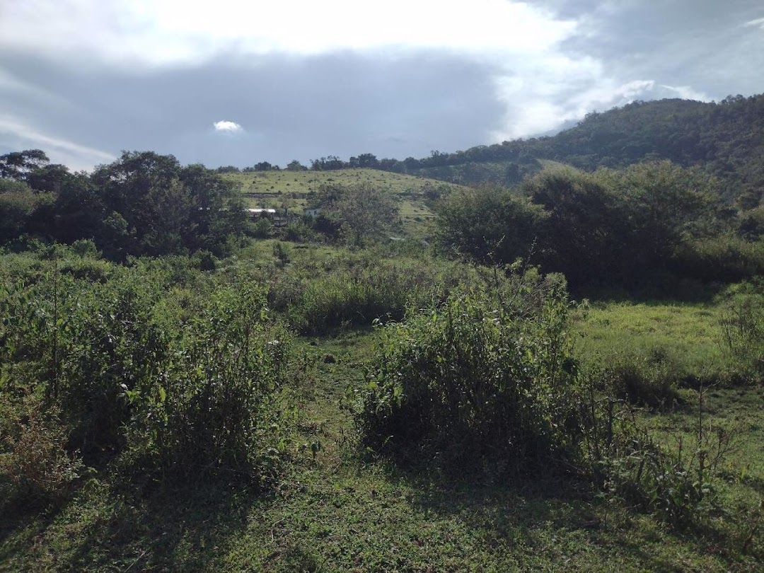 Fazenda, 225 hectares - Foto 26