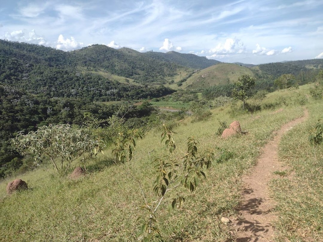 Fazenda, 225 hectares - Foto 29
