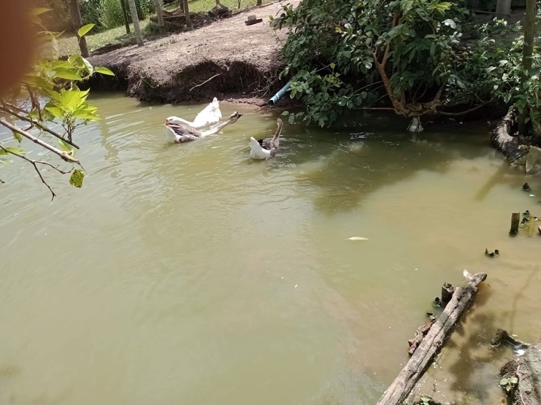 Sítio em Paraibuna/São Paulo — Ref VIZP5R — Imagem 12