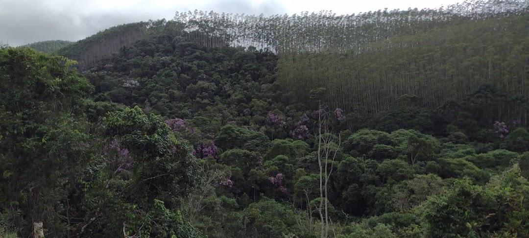 Sítio, 2 quartos, 100 m² - Foto 23