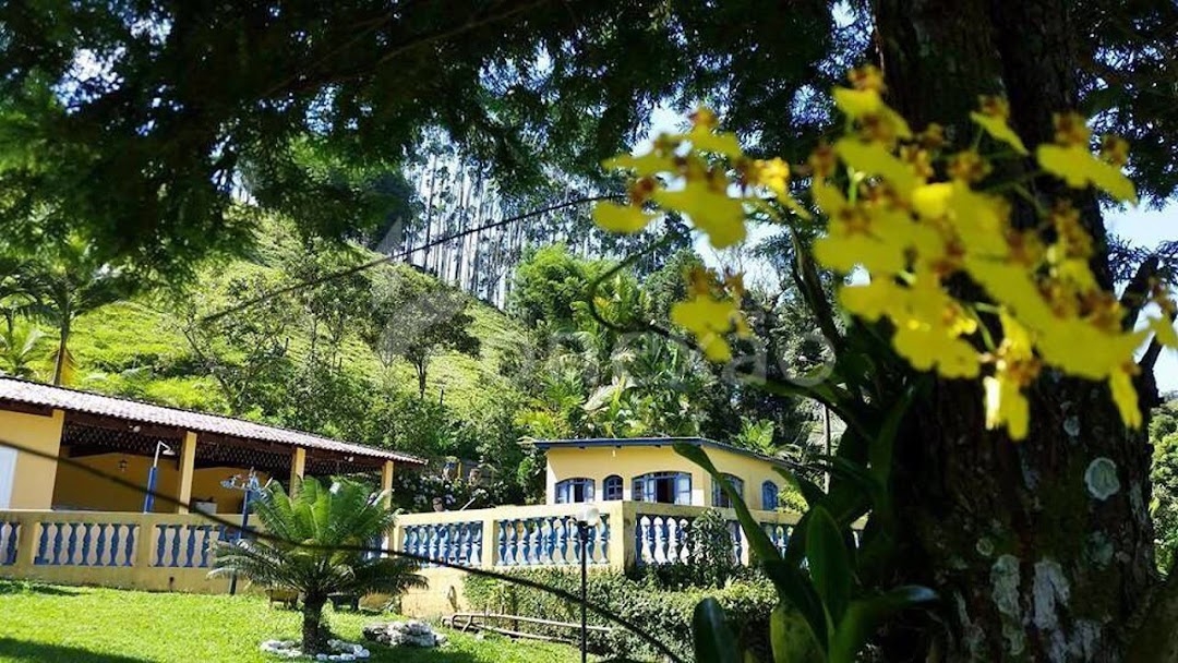 Sítio, 3 quartos, 200 m² - Foto 1