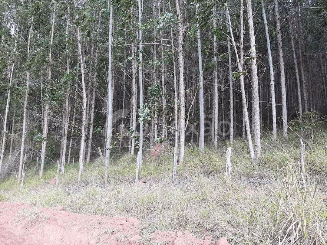 Sítio em Paraibuna/São Paulo — Ref DO8RL3 — Imagem 13