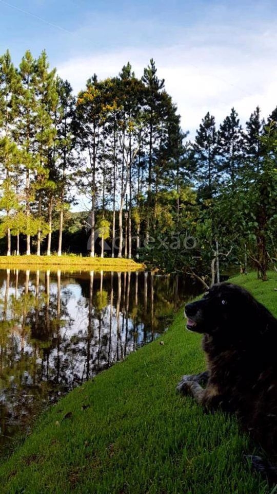 Sítio em Paraibuna/São Paulo — Ref DO8RL3 — Imagem 8
