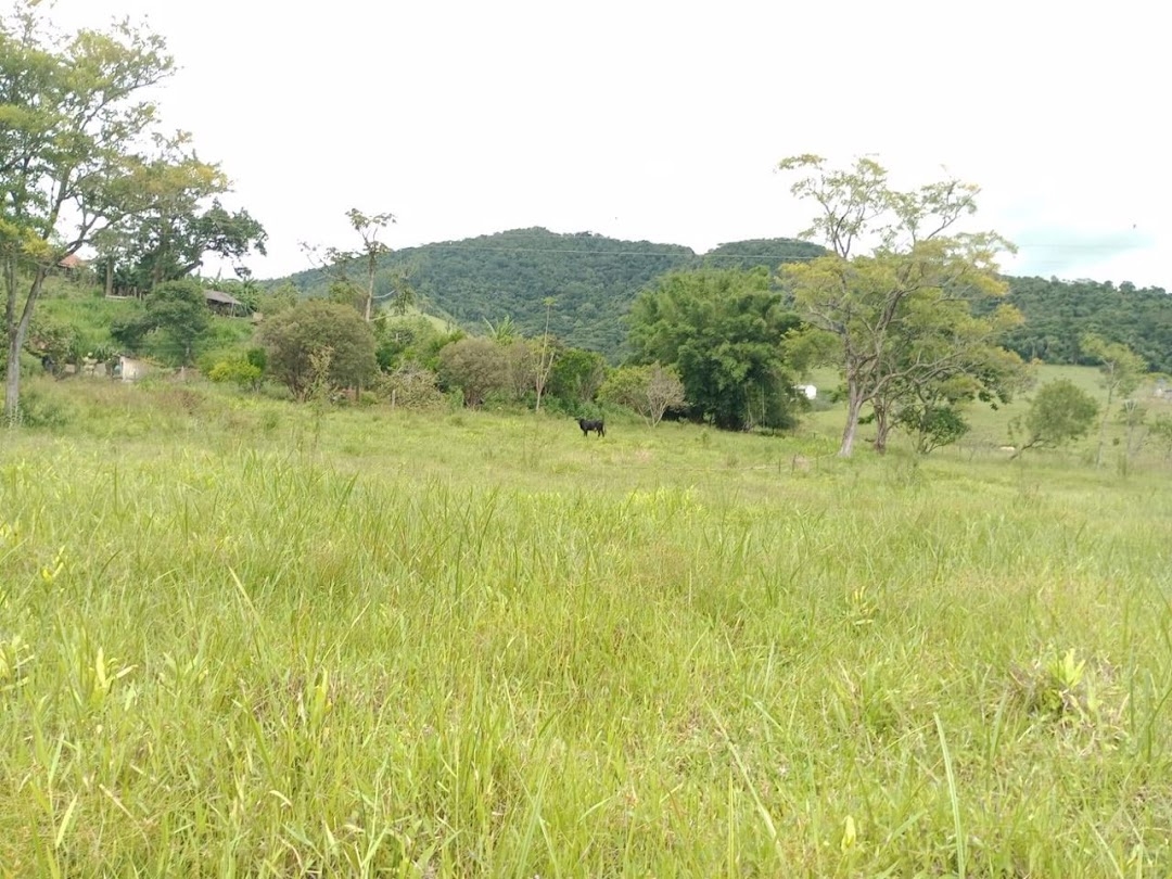 Sítio, 2 quartos, 250 m² - Foto 5