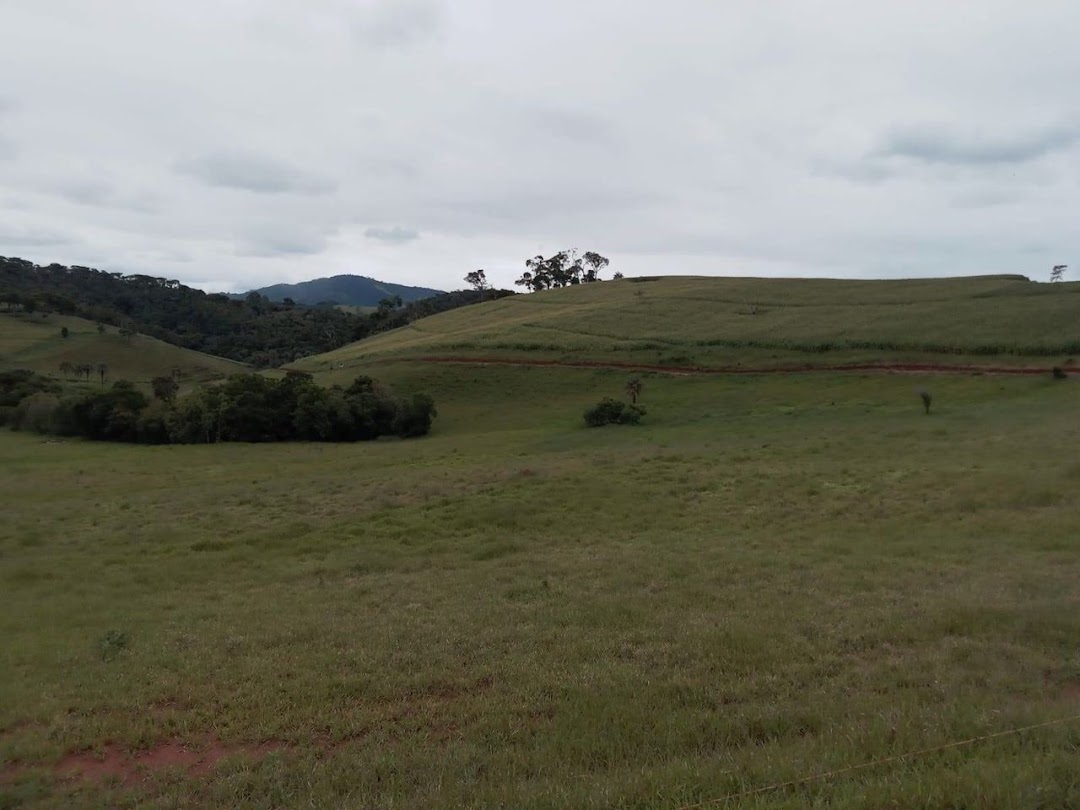 Fazenda, 130 hectares - Foto 1