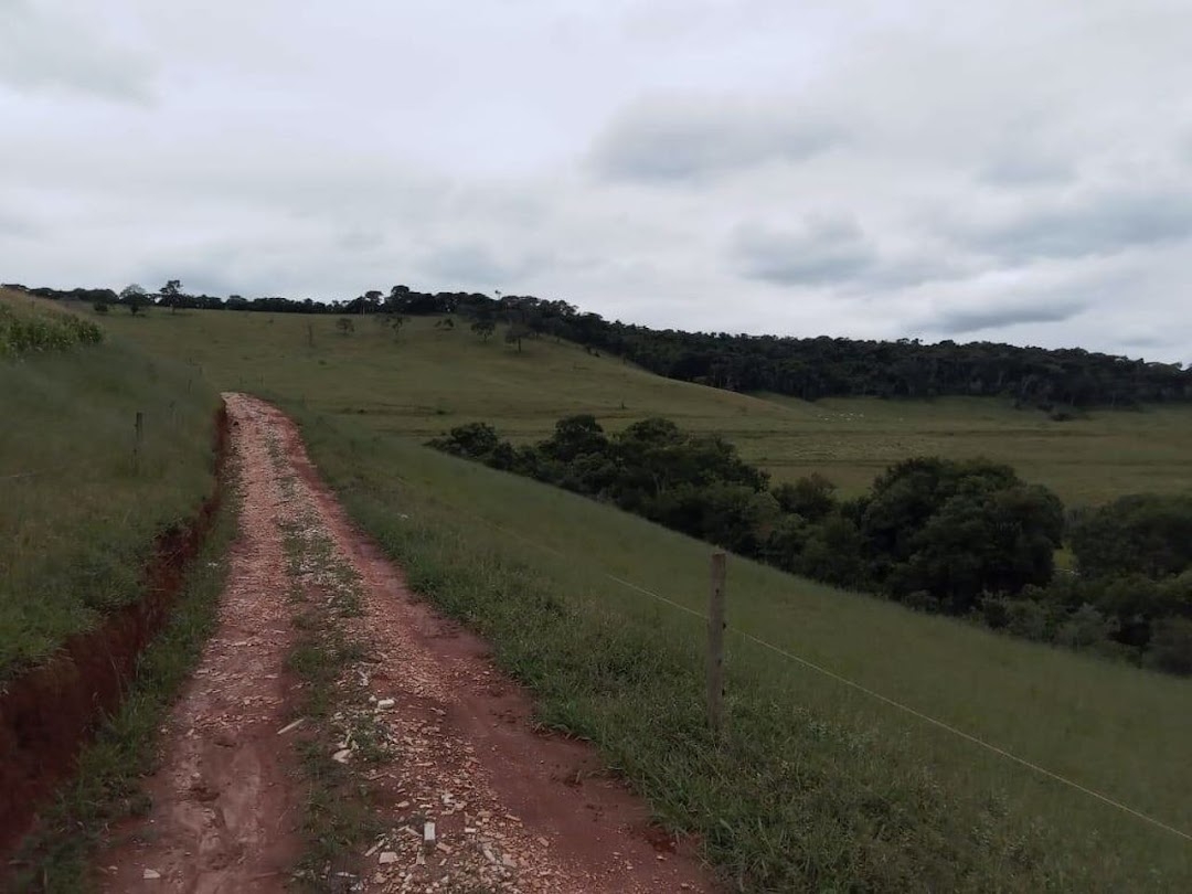 Fazenda, 130 hectares - Foto 3