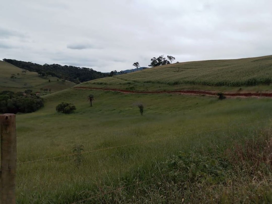 Fazenda em Dom Viçoso/Minas Gerais — Ref JAXO24 — Imagem 9