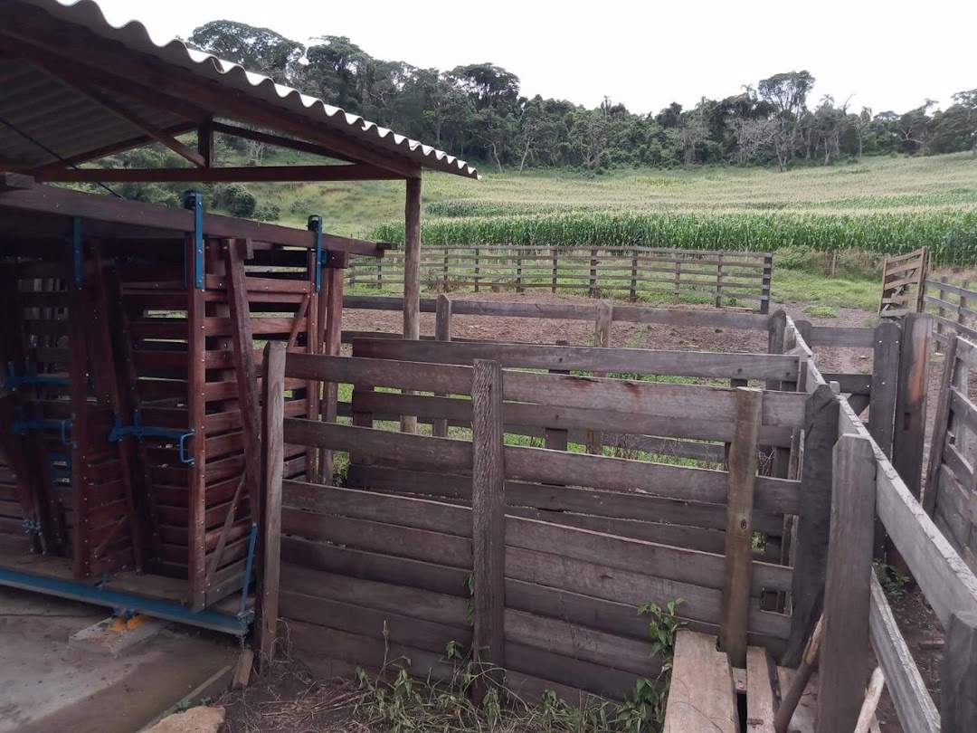 Fazenda em Dom Viçoso/Minas Gerais — Ref JAXO24 — Imagem 11