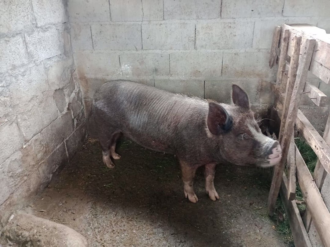 Sítio em Paraibuna/São Paulo — Ref VIZP5R — Imagem 17