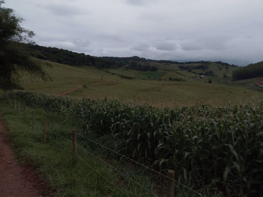 Fazenda em Dom Viçoso/Minas Gerais — Ref JAXO24 — Imagem 8
