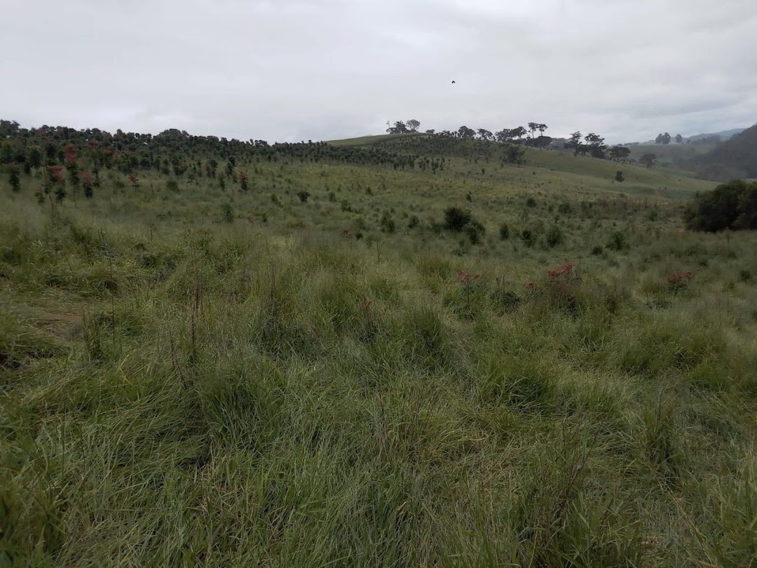 Fazenda em Dom Viçoso/Minas Gerais — Ref JAXO24 — Imagem 10