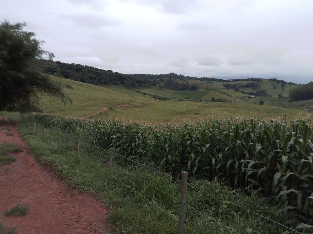 Fazenda em Dom Viçoso/Minas Gerais — Ref JAXO24 — Imagem 16