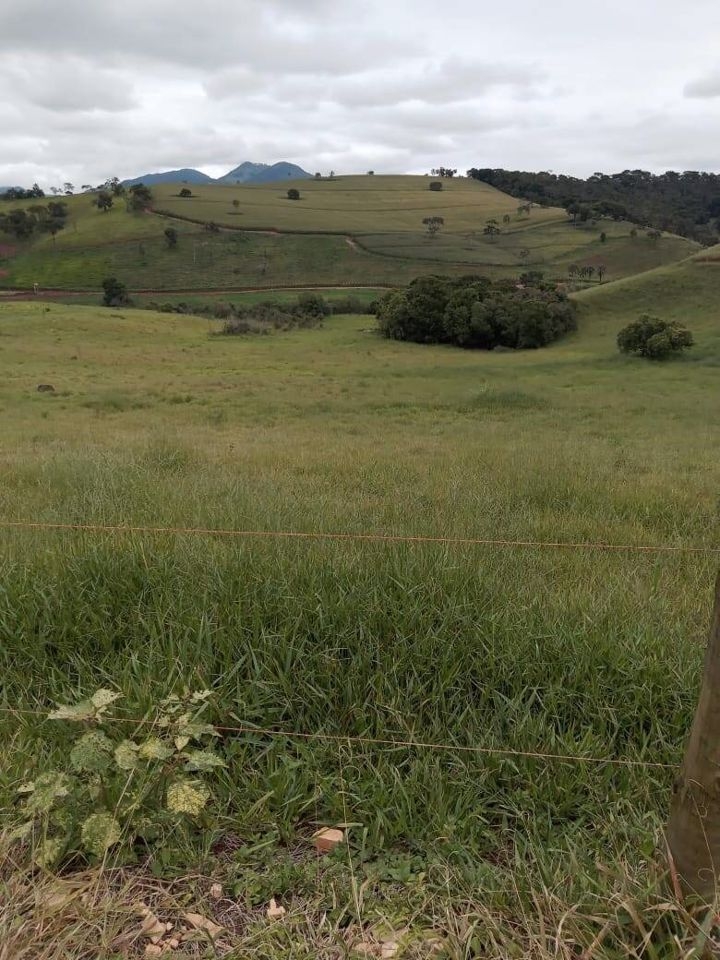 Fazenda em Dom Viçoso/Minas Gerais — Ref JAXO24 — Imagem 19
