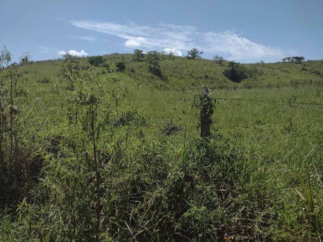 Fazenda em Canas/São Paulo — Ref YZ6VP3 — Imagem 7