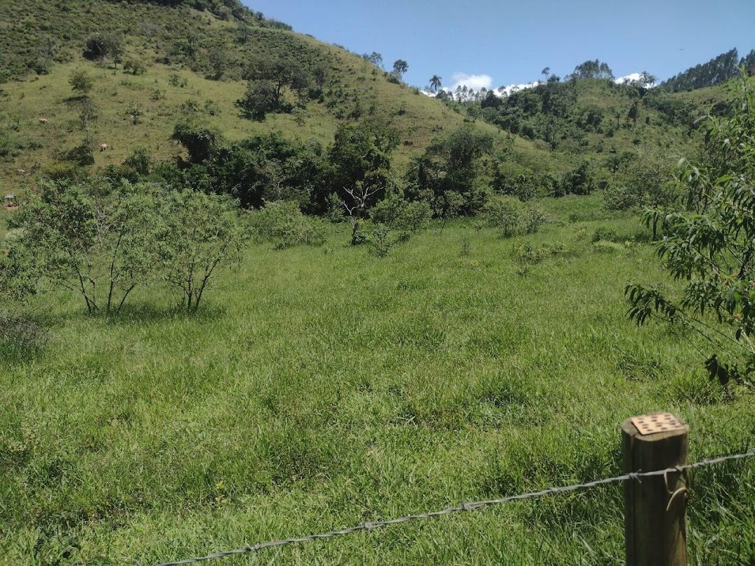 Fazenda em Canas/São Paulo — Ref YZ6VP3 — Imagem 10