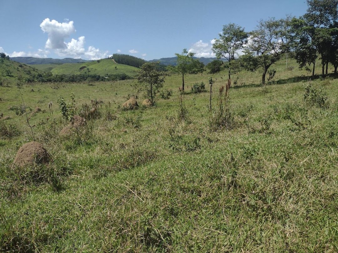Fazenda em Canas/São Paulo — Ref YZ6VP3 — Imagem 13