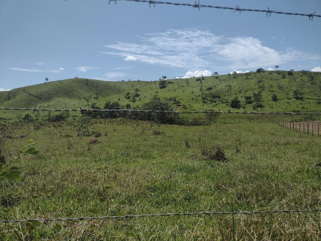 Fazenda em Canas/São Paulo — Ref YZ6VP3 — Imagem 16