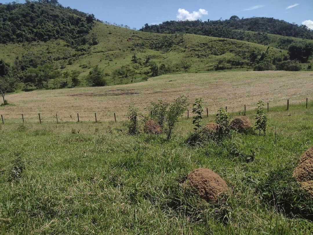 Fazenda, 133 hectares - Foto 2