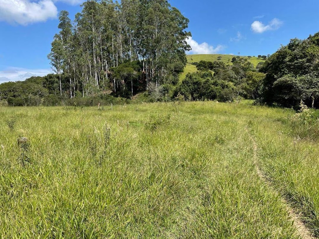 Sítio, 3 quartos, 19 hectares - Foto 5