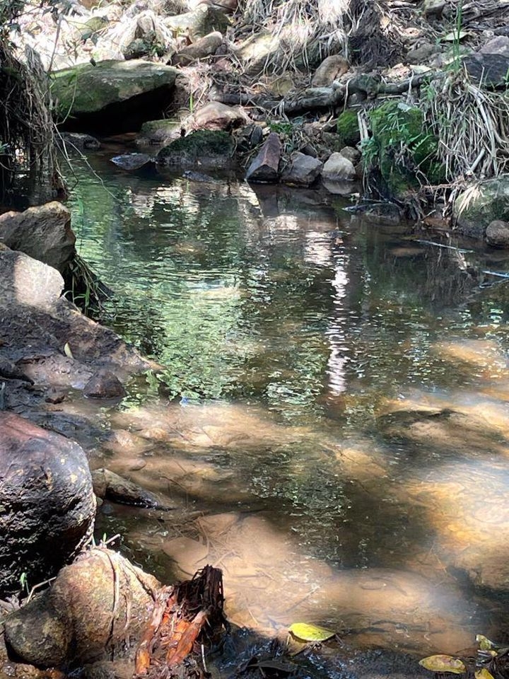 Sítio em Cunha/São Paulo — Ref ZMX8K6 — Imagem 7