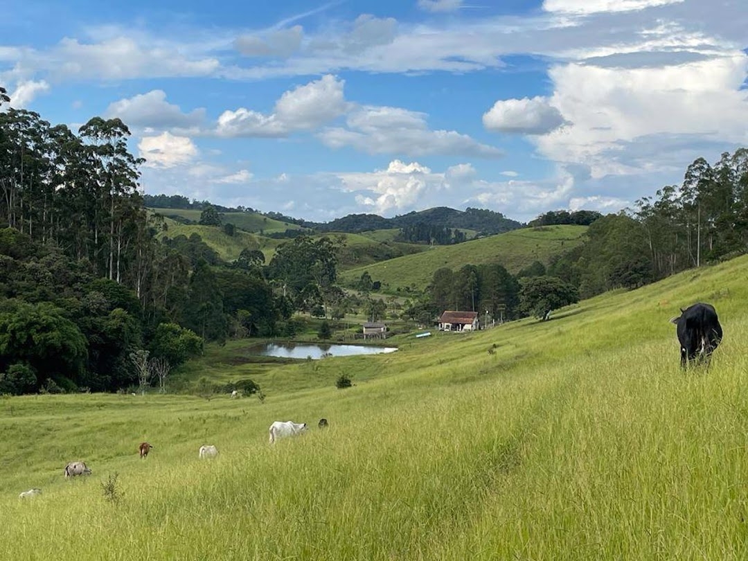 Sítio em Cunha/São Paulo — Ref ZMX8K6 — Imagem 6