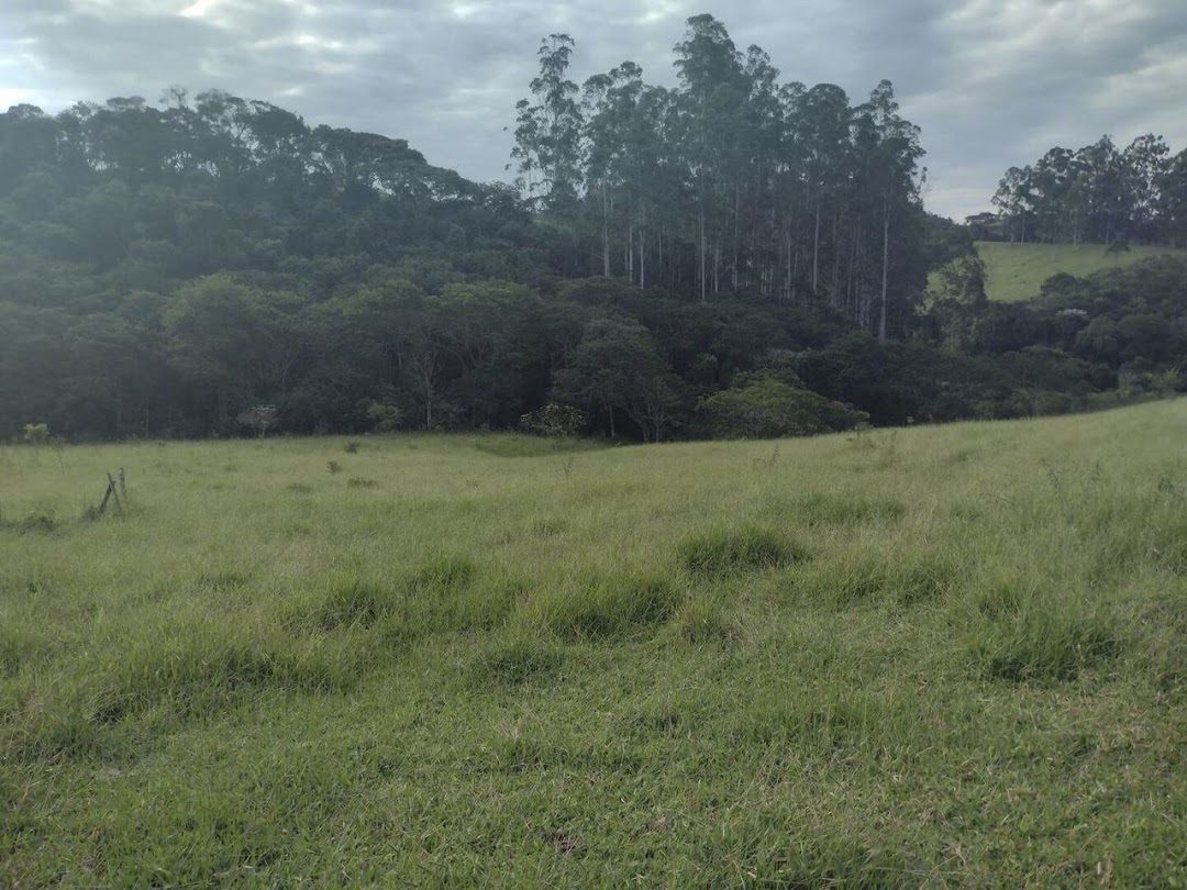 Sítio em Cunha/São Paulo — Ref ZMX8K6 — Imagem 19
