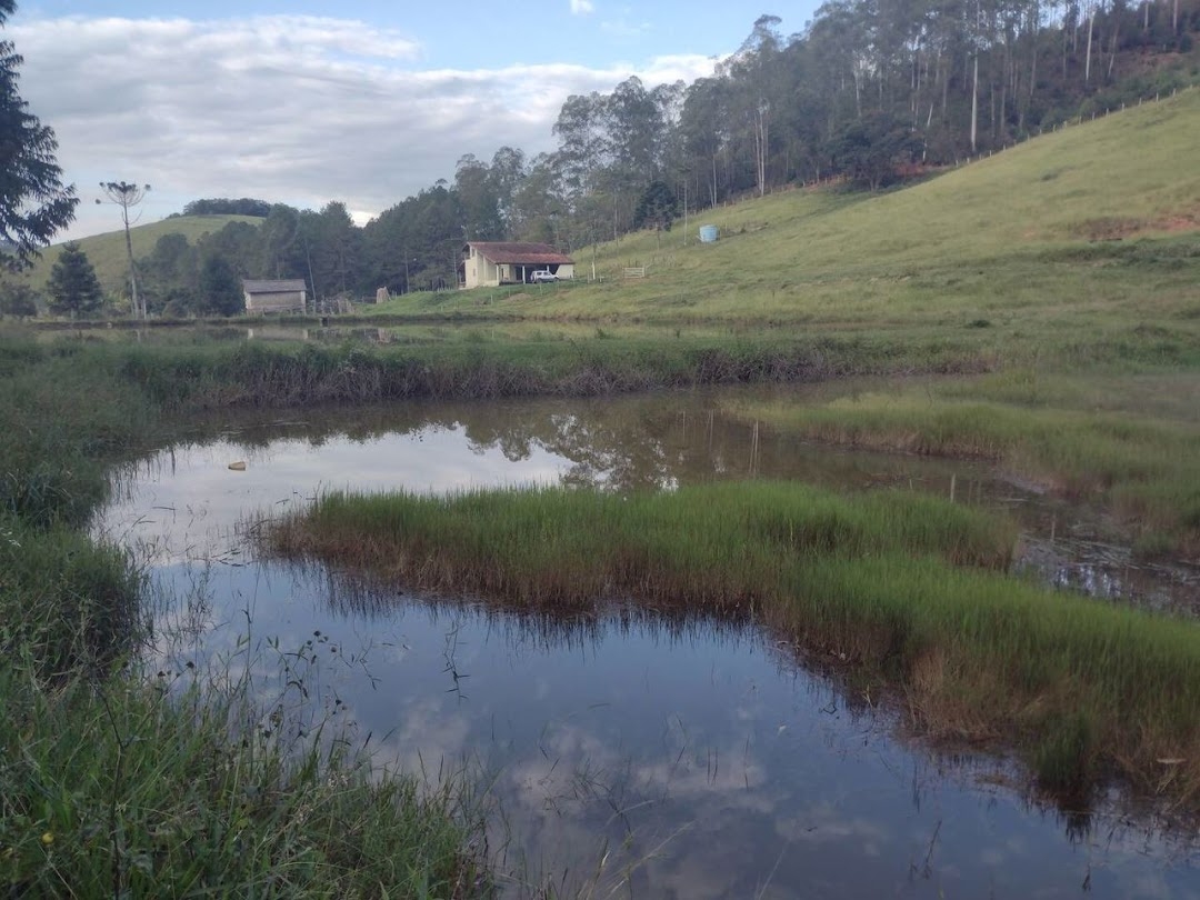 Sítio em Cunha/São Paulo — Ref ZMX8K6 — Imagem 14