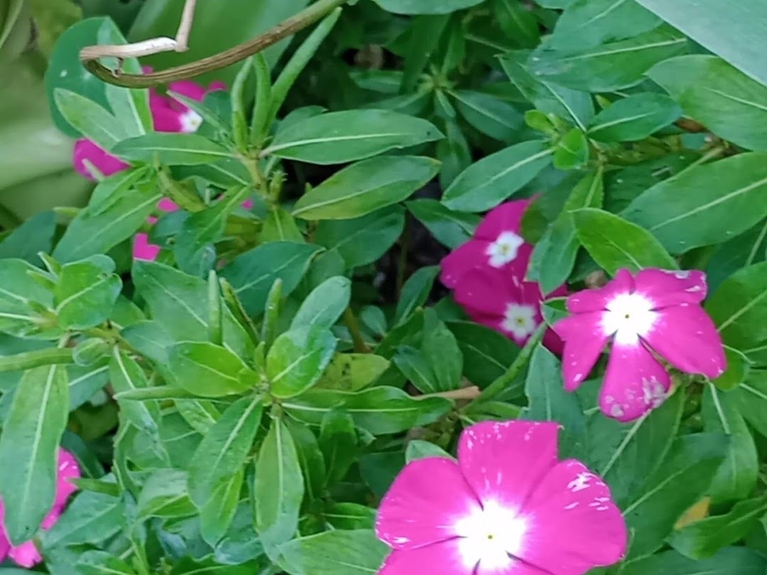 Sítio em Paraibuna/São Paulo — Ref VIZP5R — Imagem 33