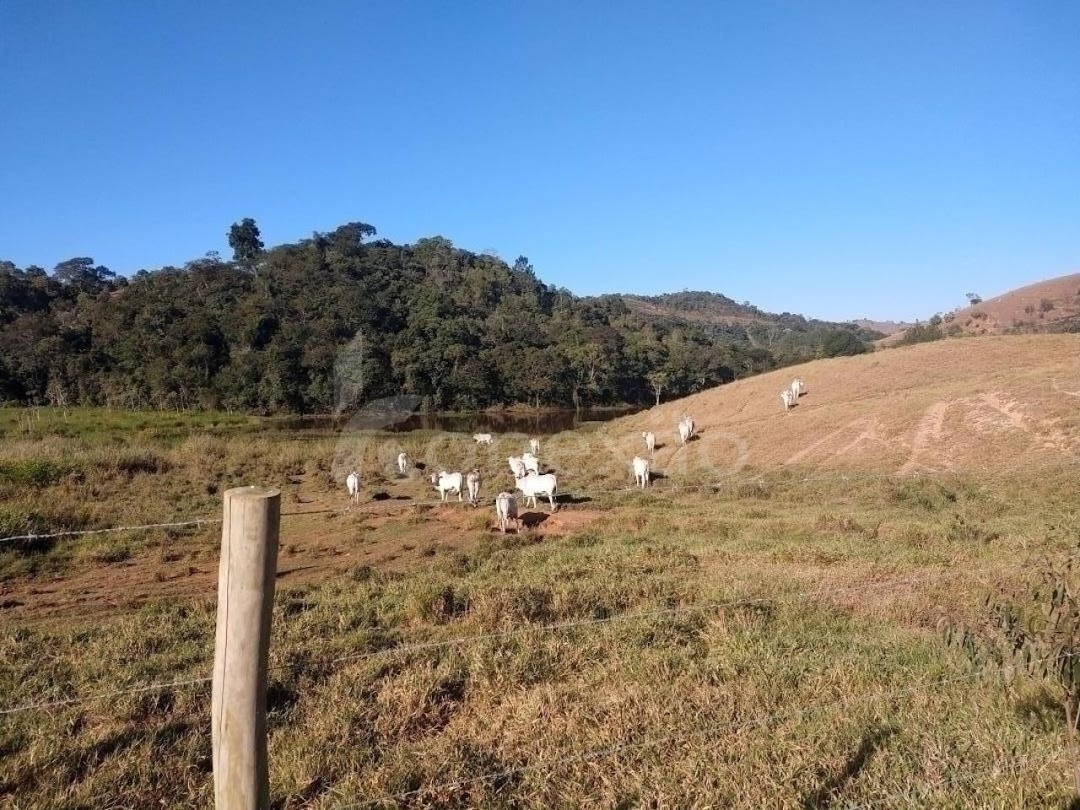 Fazenda em Santa Branca/São Paulo — Ref VHMXCX — Imagem 26