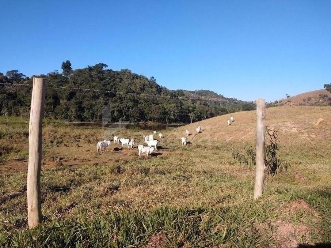 Fazenda em Santa Branca/São Paulo — Ref VHMXCX — Imagem 25
