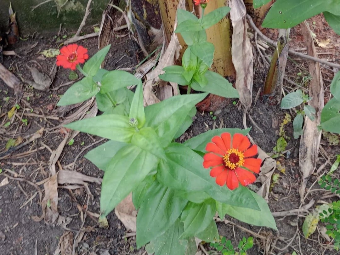 Sítio em Paraibuna/São Paulo — Ref VIZP5R — Imagem 37