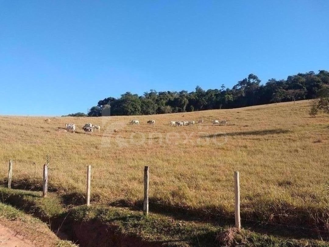 Fazenda em Santa Branca/São Paulo — Ref VHMXCX — Imagem 27