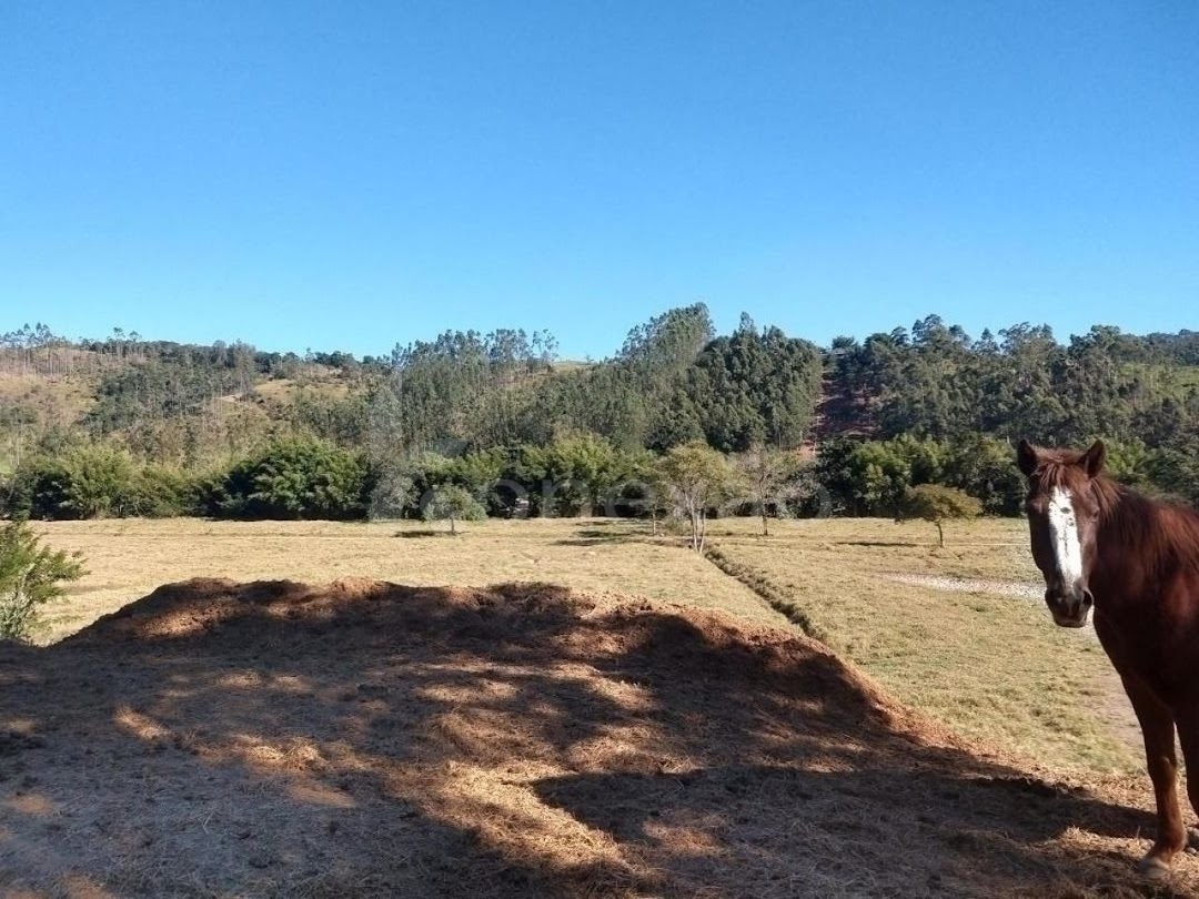 Fazenda em Santa Branca/São Paulo — Ref VHMXCX — Imagem 20
