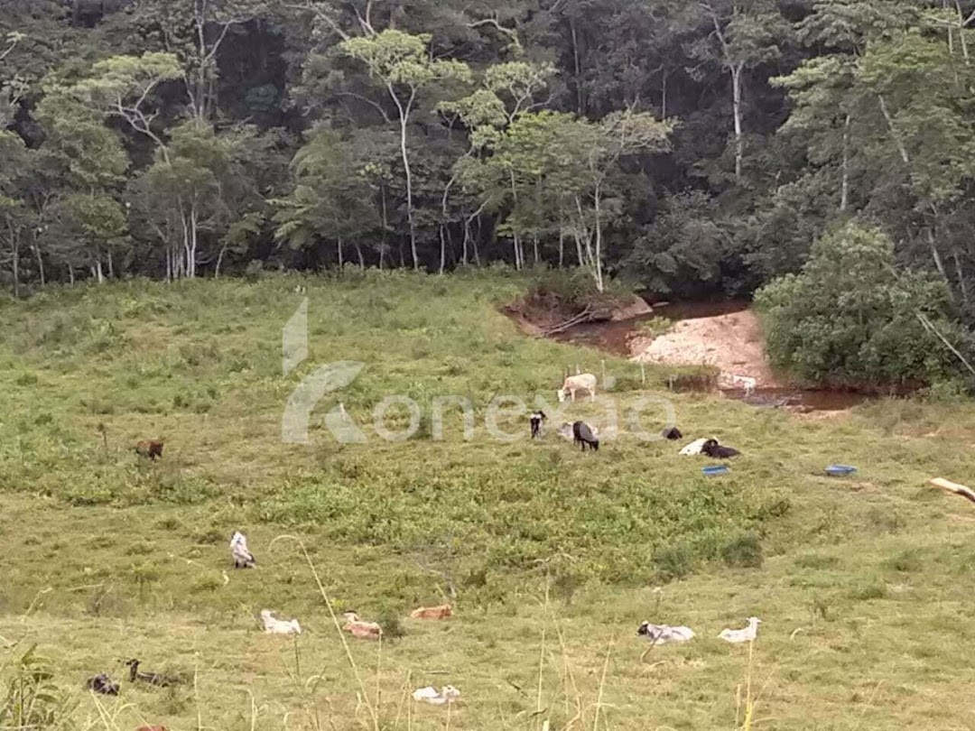 Sítio em Monteiro Lobato/São Paulo — Ref AA1WA4 — Imagem 11
