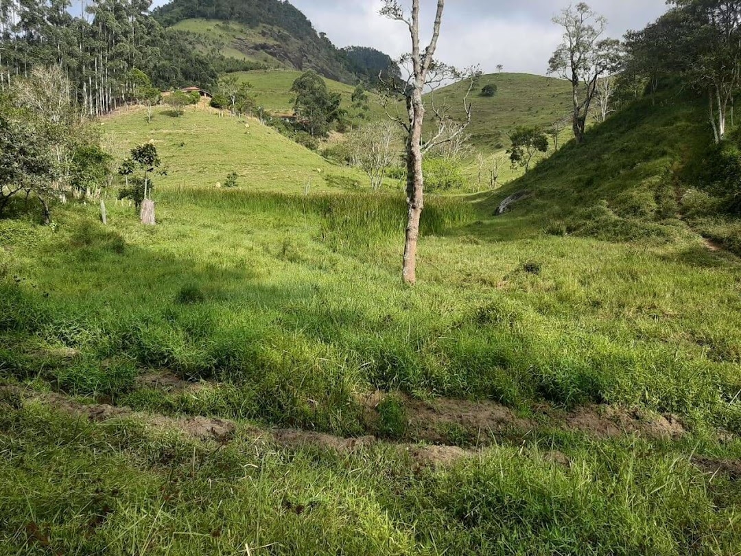 Imóvel rural em Paraibuna/São Paulo — Ref I04UTL1