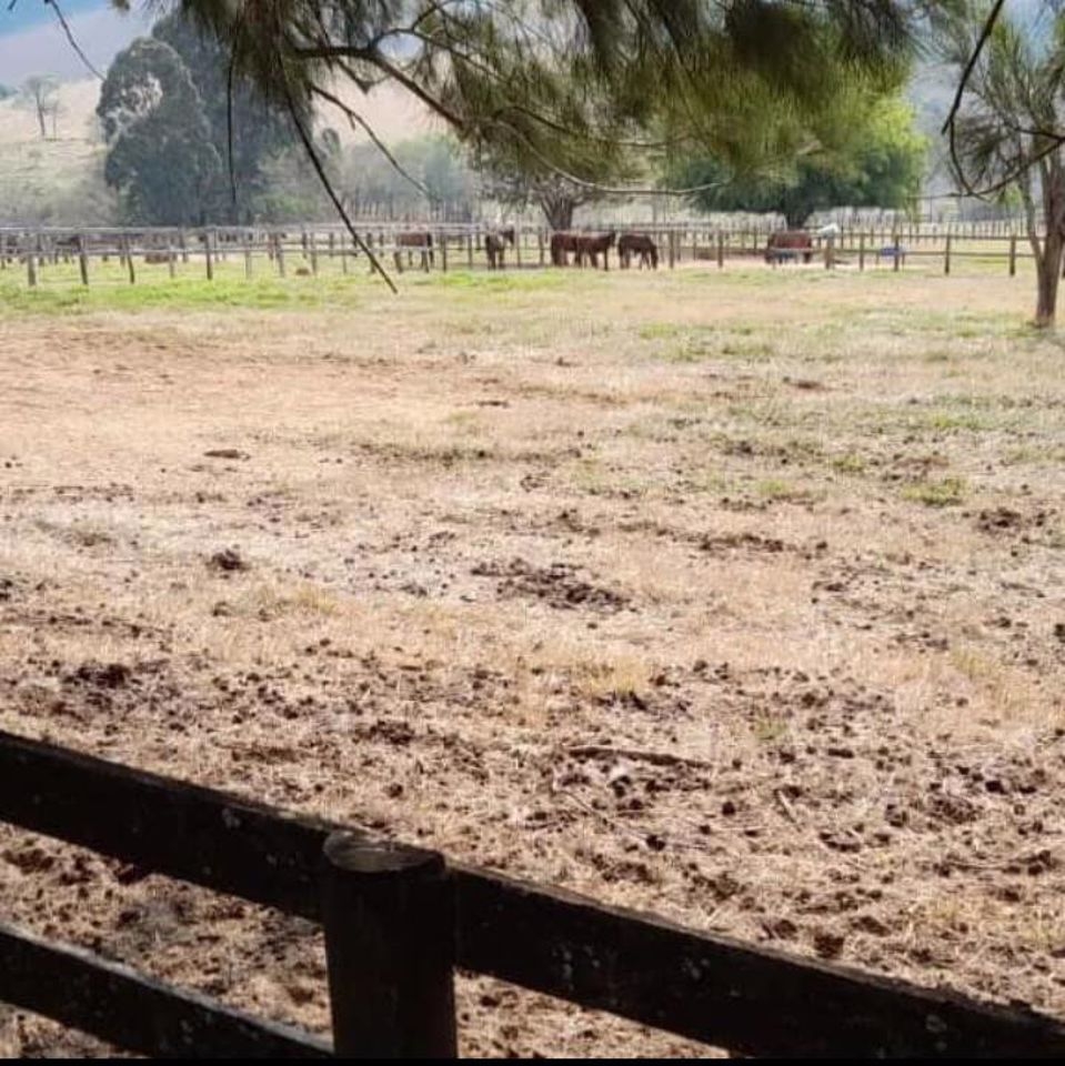 Fazenda em Aiuruoca/Minas Gerais — Ref V6CPDQ — Imagem 7